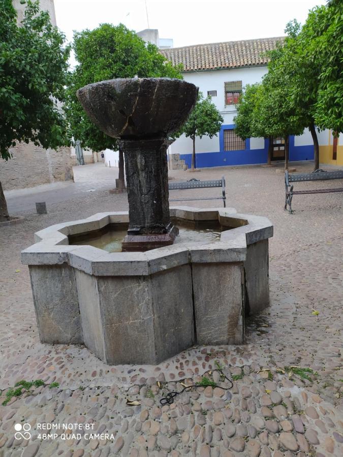 Alojamiento Casa Tipica De Córdoba Eksteriør billede
