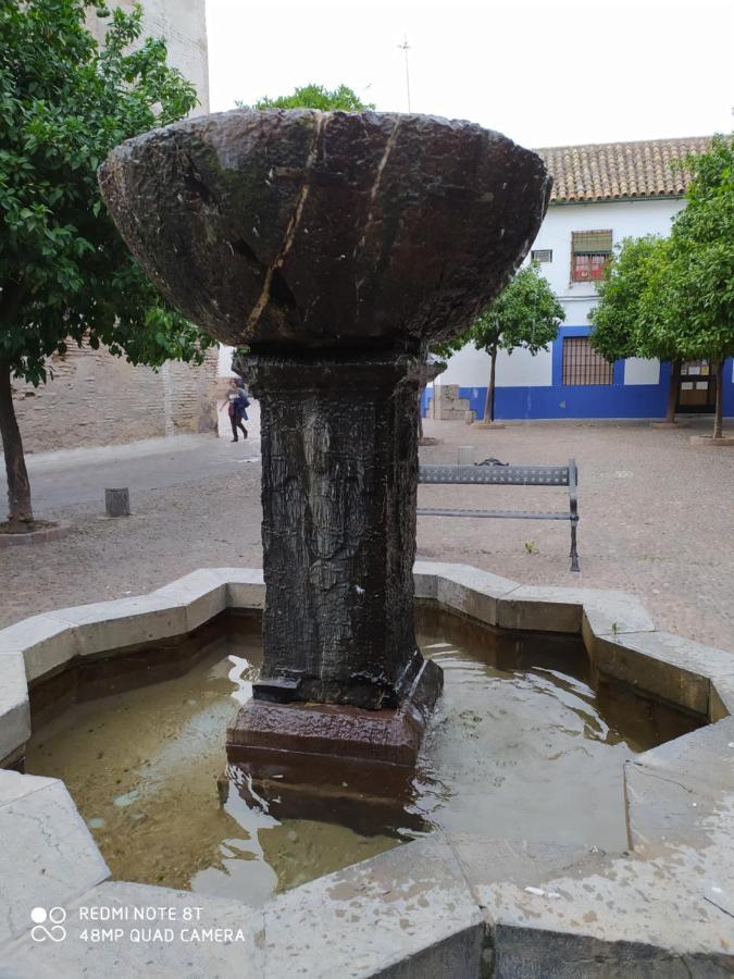 Alojamiento Casa Tipica De Córdoba Eksteriør billede