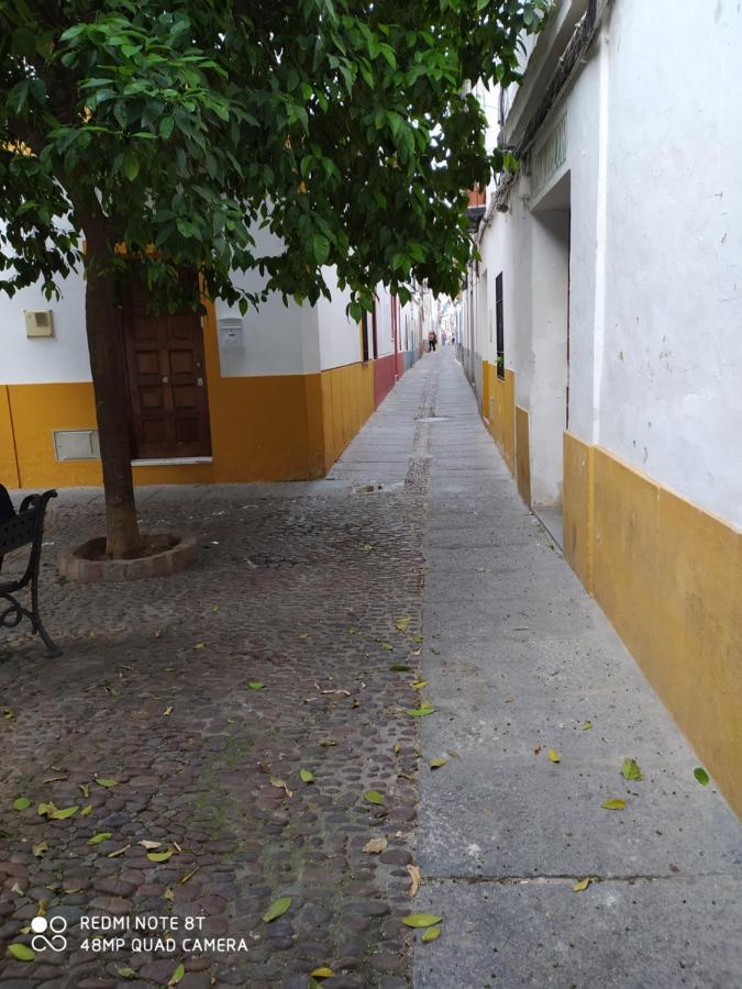 Alojamiento Casa Tipica De Córdoba Eksteriør billede