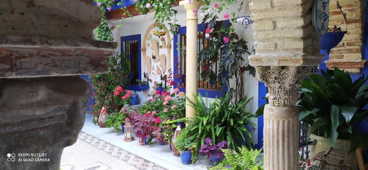 Alojamiento Casa Tipica De Córdoba Eksteriør billede