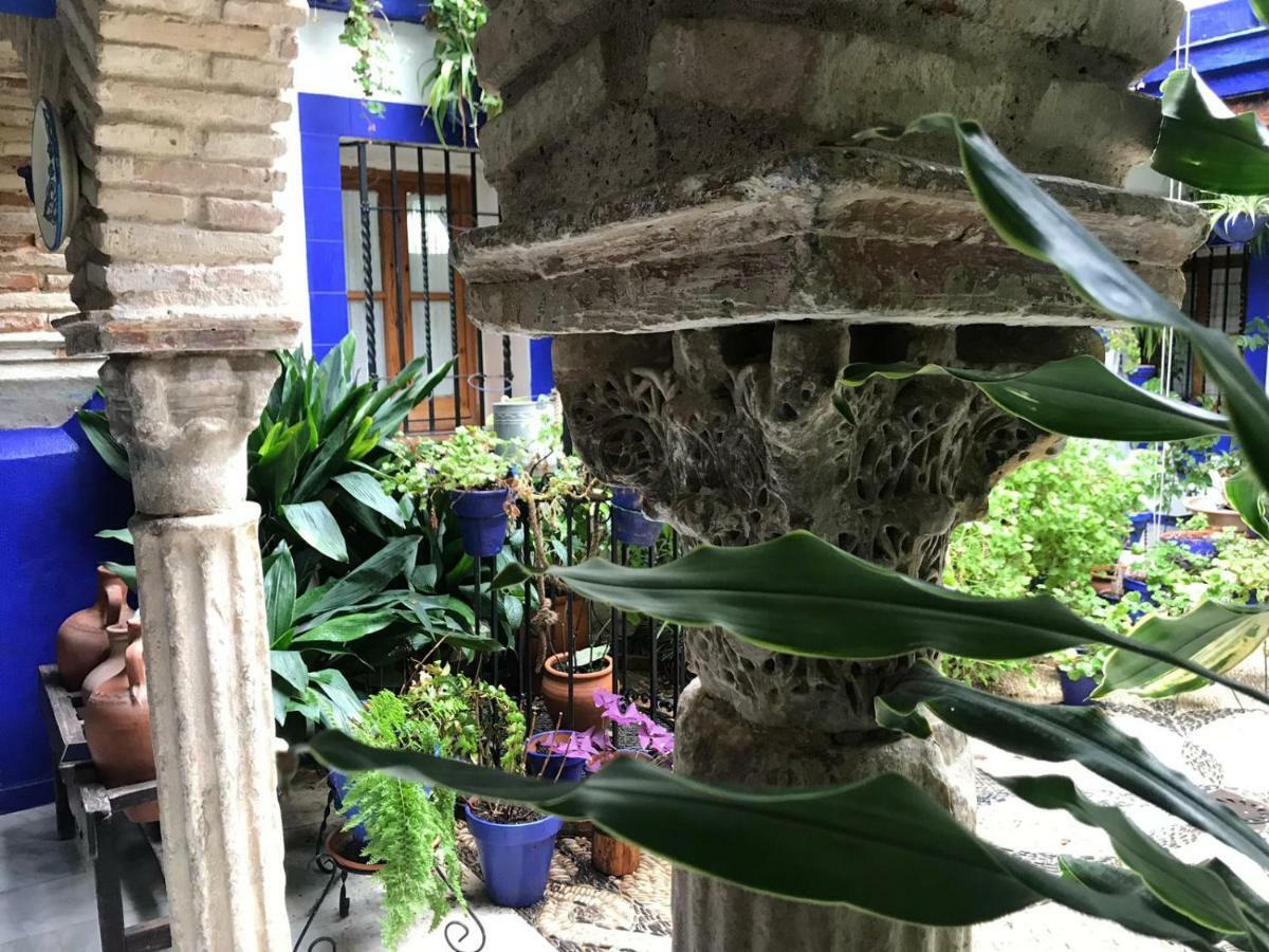Alojamiento Casa Tipica De Córdoba Eksteriør billede
